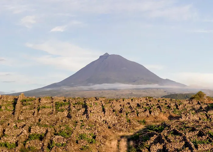 Casas Portas Do Mar E Portas Do Sol *