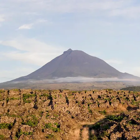 Casas Portas Do Mar E Portas Do Sol *